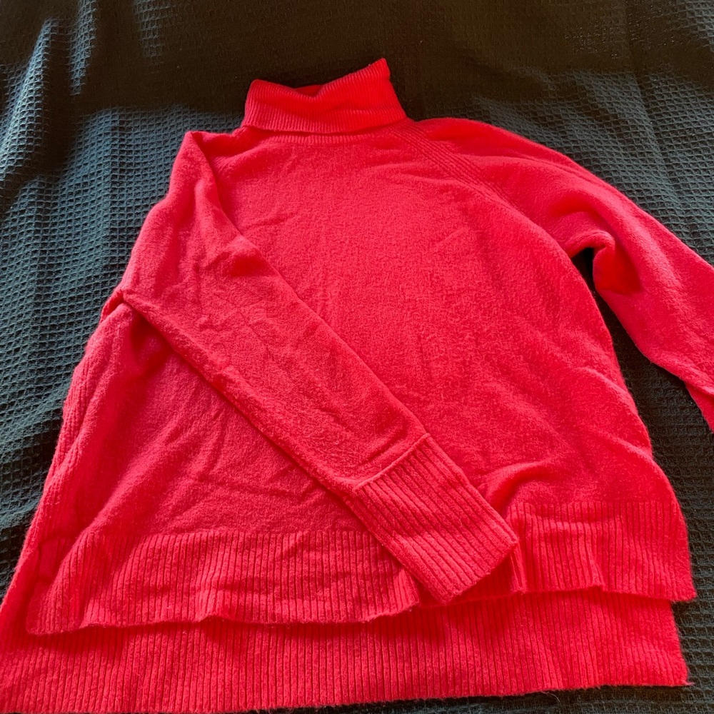 J. Crew Turtleneck